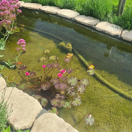 Сasa de vacaciones A La Campagne ,halte ,séjour Et Détente Moncontour (Vienne)