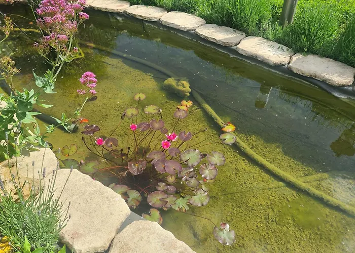 Сasa de vacaciones A La Campagne ,halte ,séjour Et Détente Moncontour (Vienne)